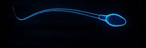 Centriole19's profile banner image