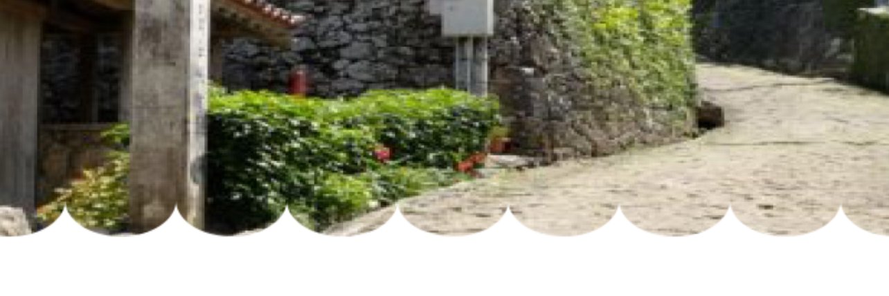 Okinawa_41's profile banner image
