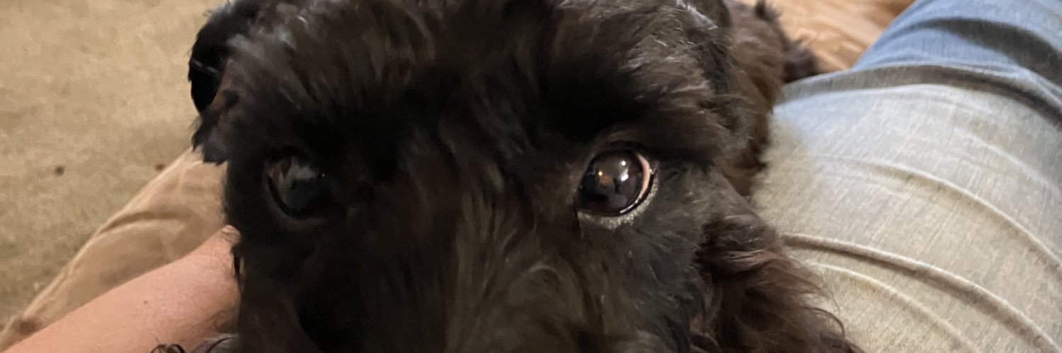 Rachel Woodruff banner