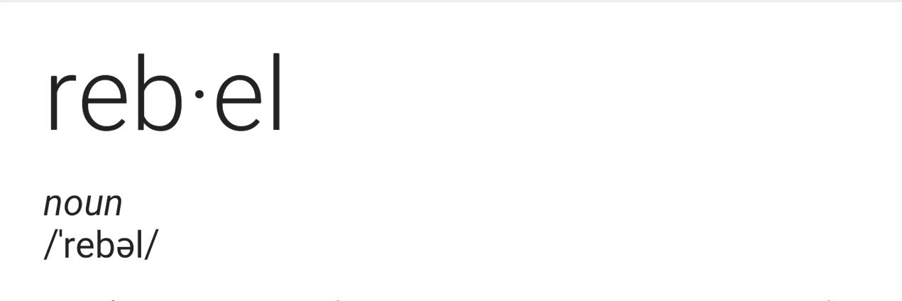 sierra_freund's profile banner image
