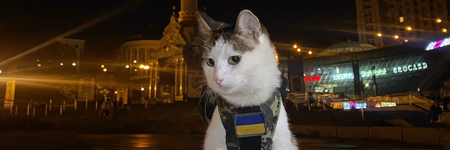 @Motochen 🇪🇺 ❤️ banner