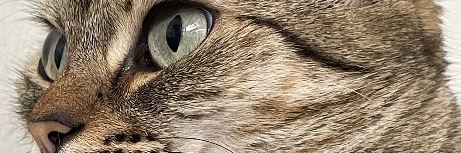 andreazucu's profile banner image