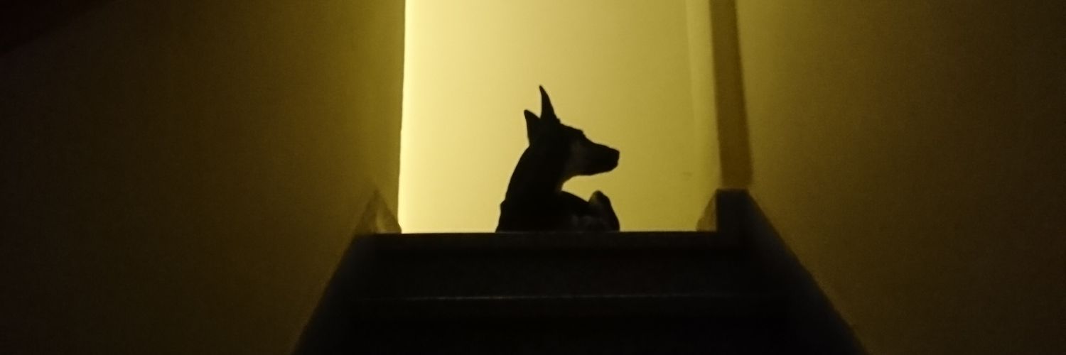 Dario___cba's profile banner image