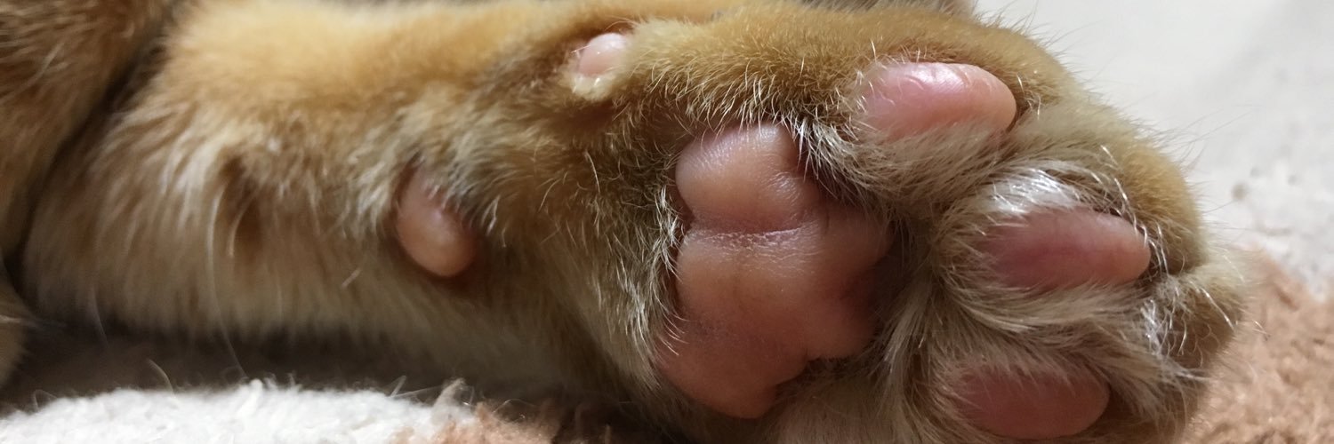 Ronet_53's profile banner image