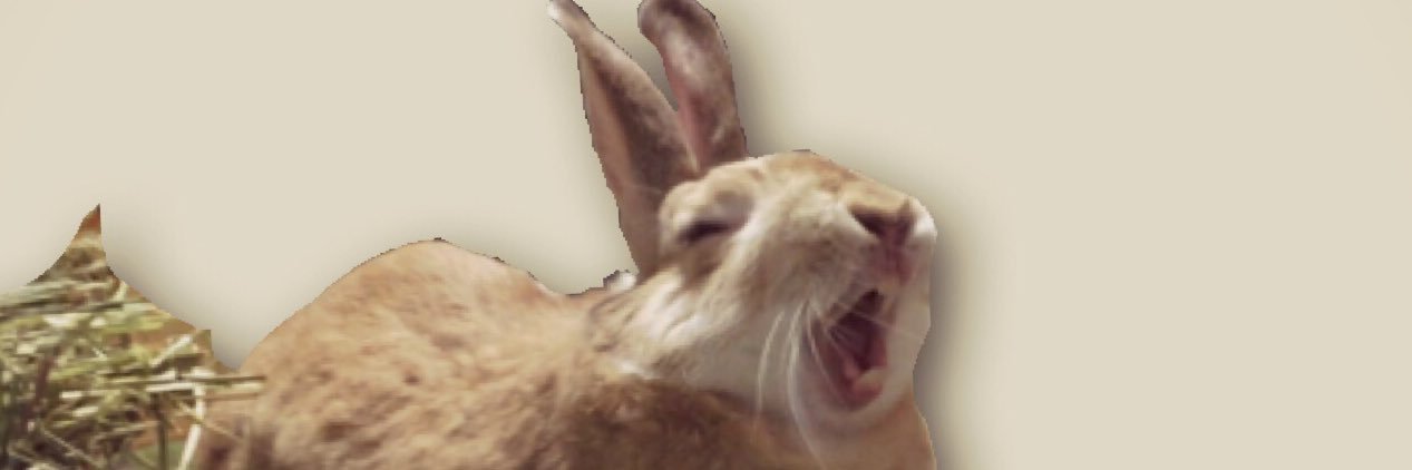 moriserina's profile banner image