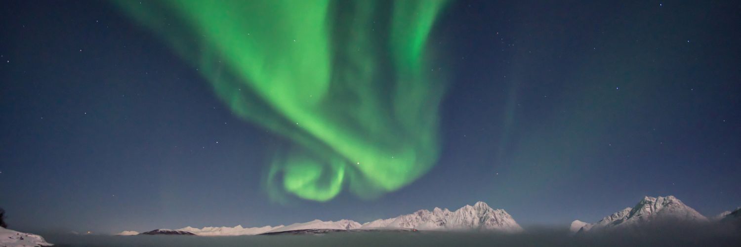 Michael Thalmann banner