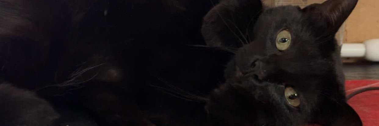 mxuranne's profile banner image