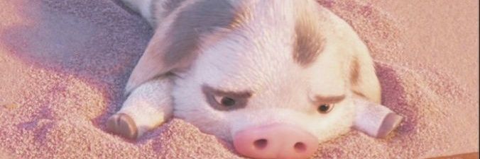 🌸 banner