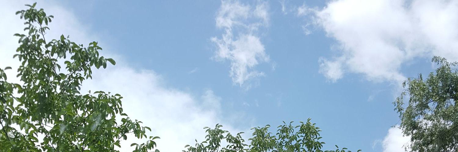 Floreen93's profile banner image
