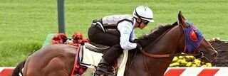 ThoroughbredRace.Horse banner