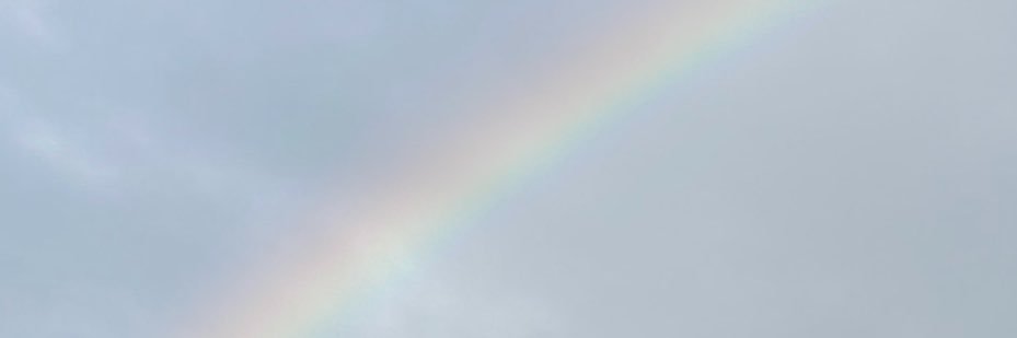 Sunday_chp's profile banner image