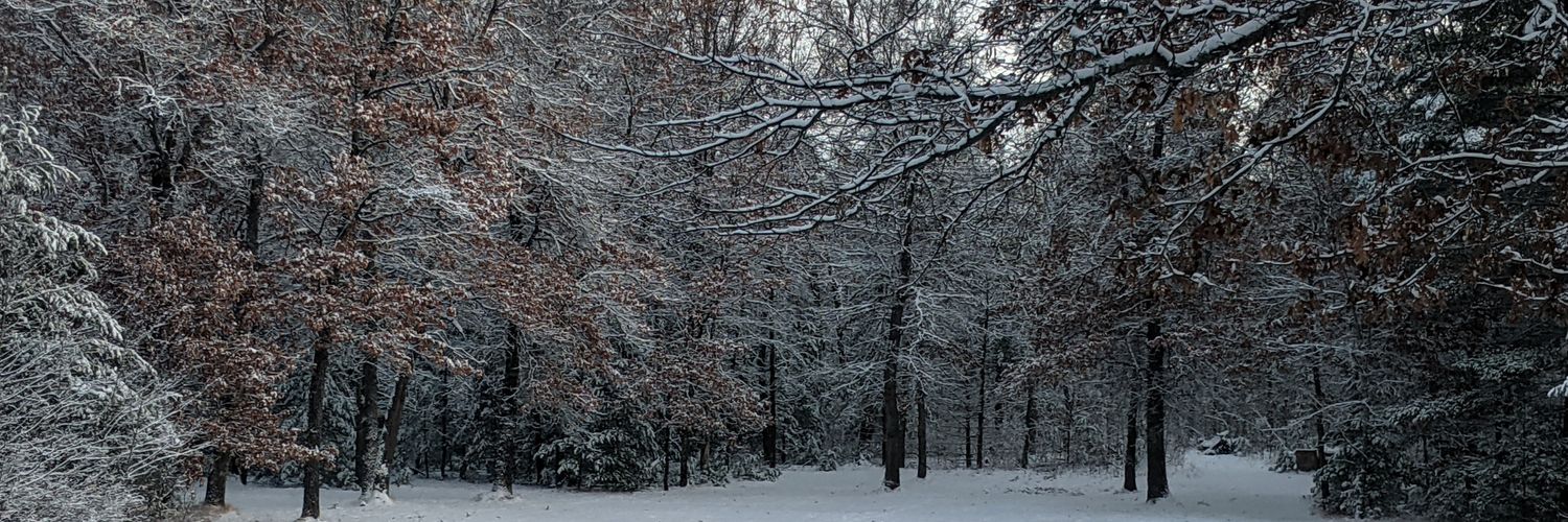 BruncleJimothy's profile banner image