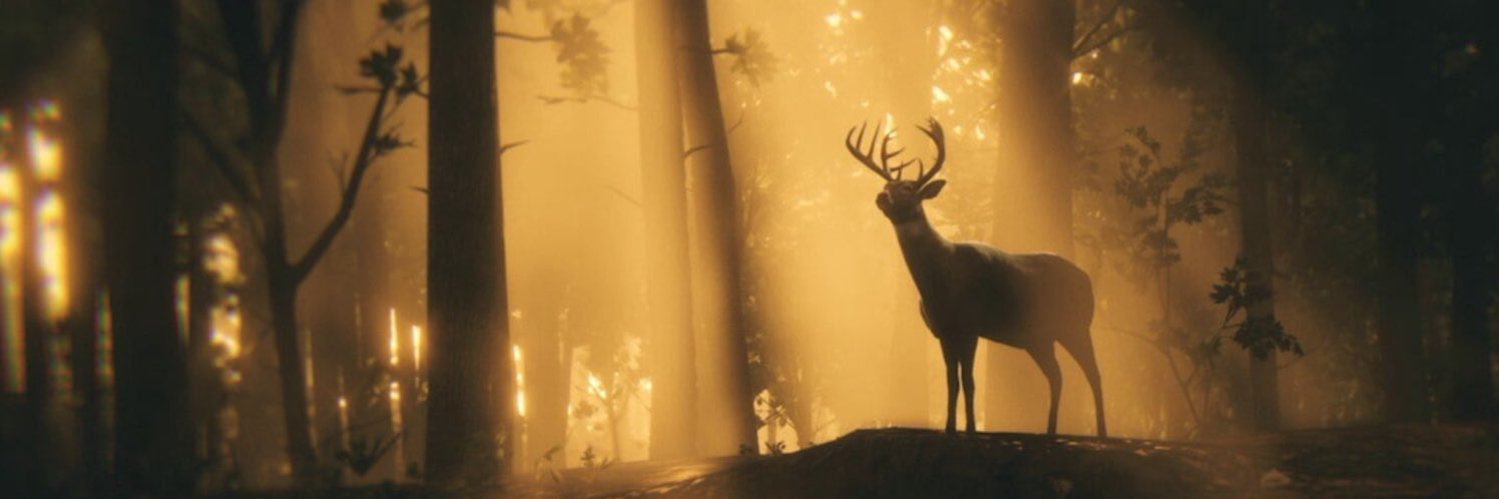 Mehmet Yusuf Demir banner