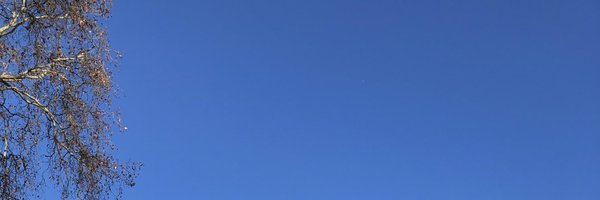 lozareeno Profile Banner