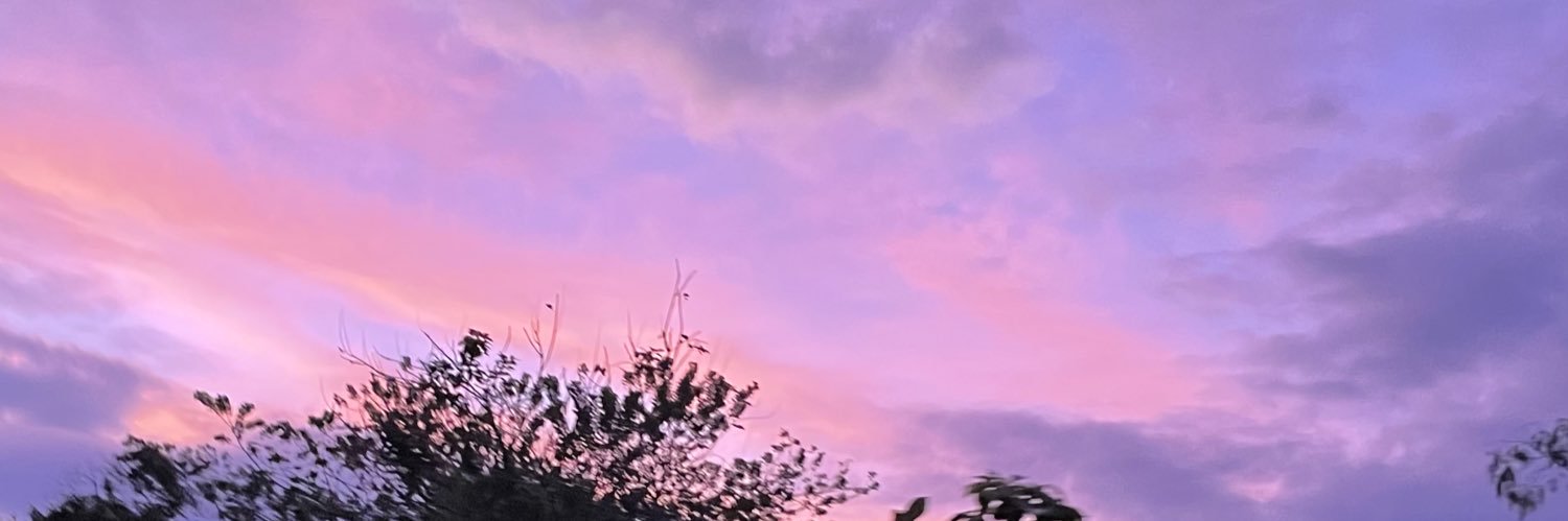 mpaulasurez's profile banner image