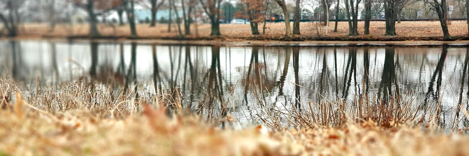 Abbas Mohammadi banner