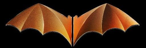 sekafran13's profile banner image