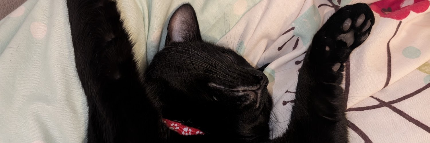 SpamMuffins's profile banner image