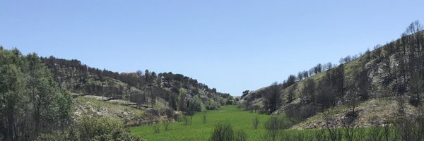 manue1511 Profile Banner