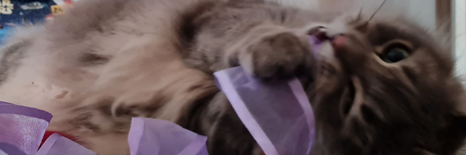 victoreebel's profile banner image