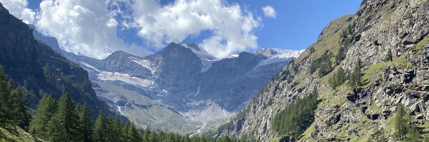 BertvanderWees's profile banner image