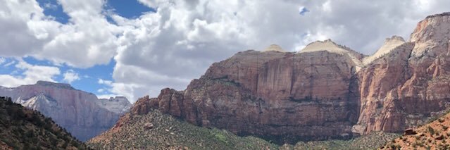 carl champain banner