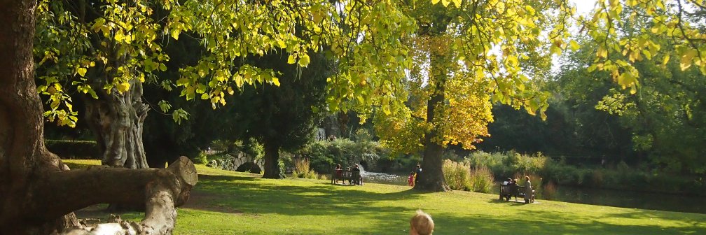 Park Life West London 🍃💚🍃 banner