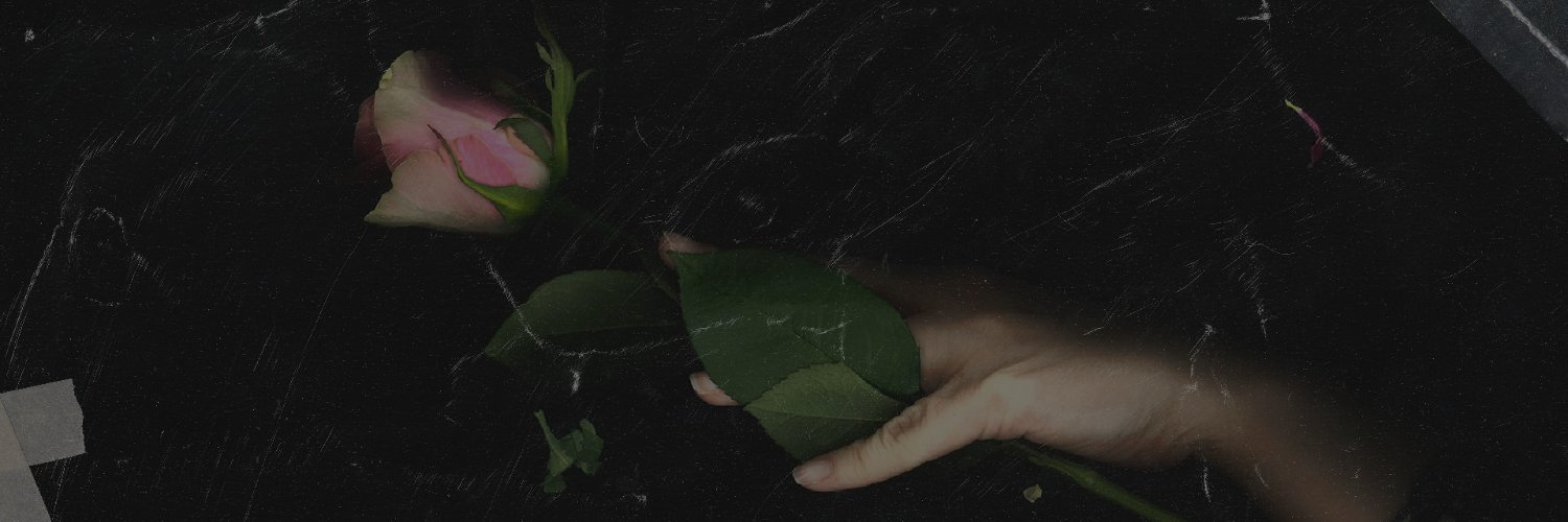 LearnToLieBand's profile banner image