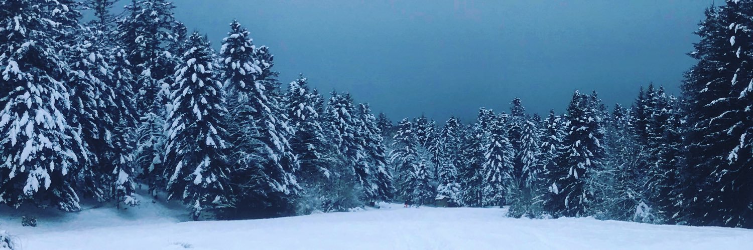 Bruno Vergnes banner