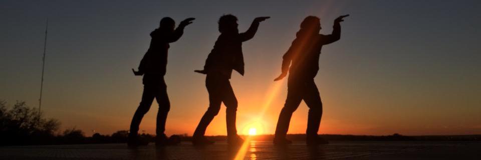 The Blind Pets banner