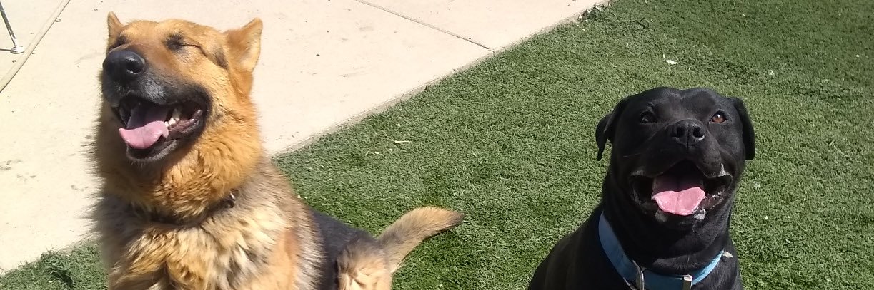 phatsacks55's profile banner image