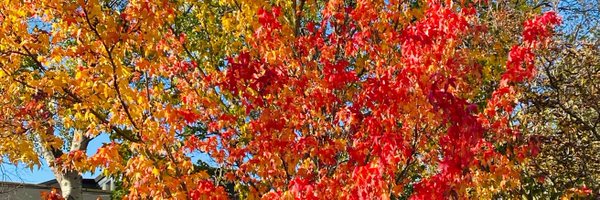 suspect_BC Profile Banner