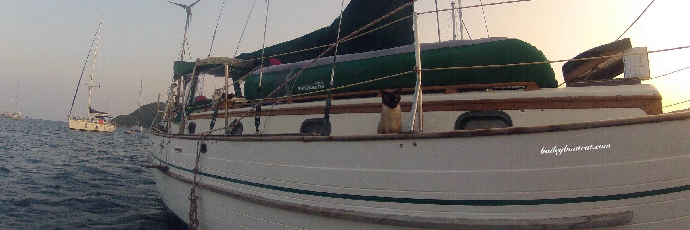 BaileyBoatCat's profile banner image