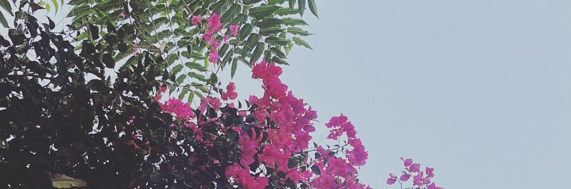 Gamze Fuat banner