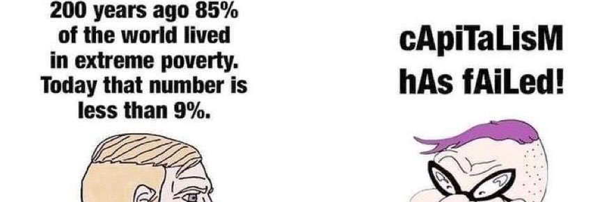 Professional Cynic banner
