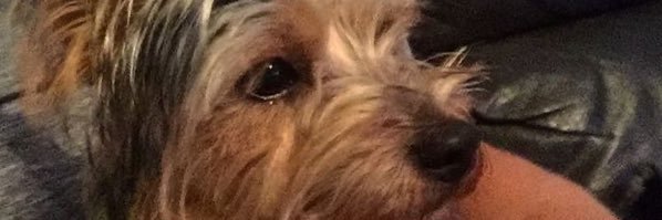 robgod_34's profile banner image