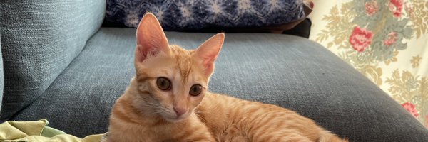 lousy_driver Profile Banner