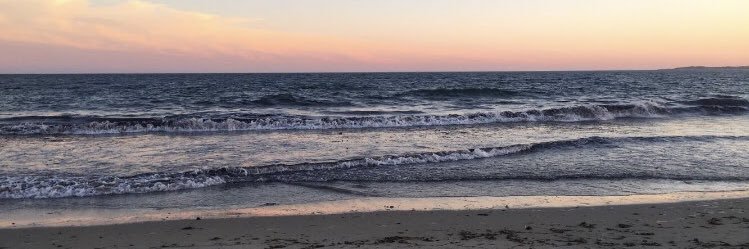 lexi_oconnell18's profile banner image