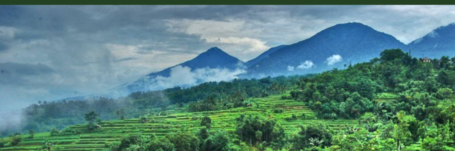 ms Gadot 💐parody account banner