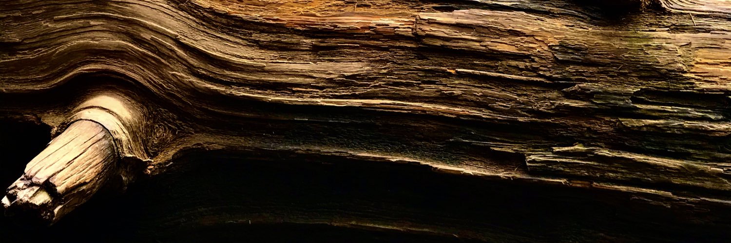 ZachHood9's profile banner image