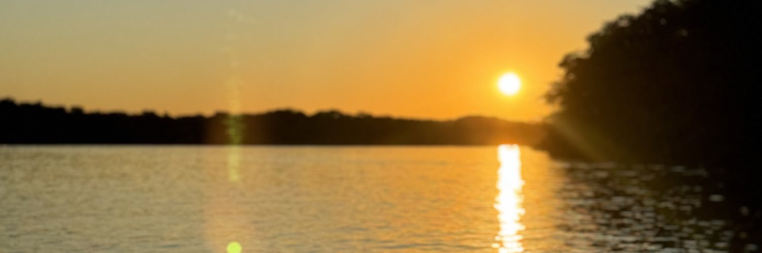 violetwayy's profile banner image