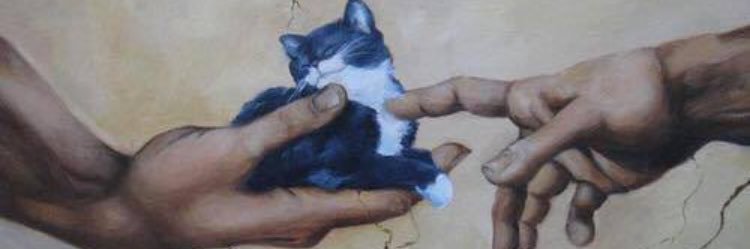 Eaamsa's profile banner image