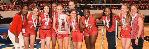 WALadyLionBball Profile Banner