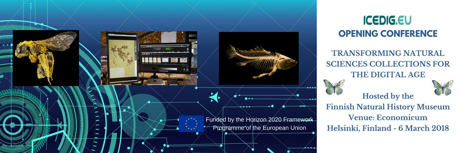 ICEDIG banner