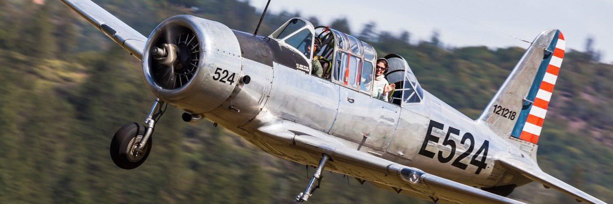 msSFO's profile banner image