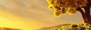 devendra_dubey's profile banner image