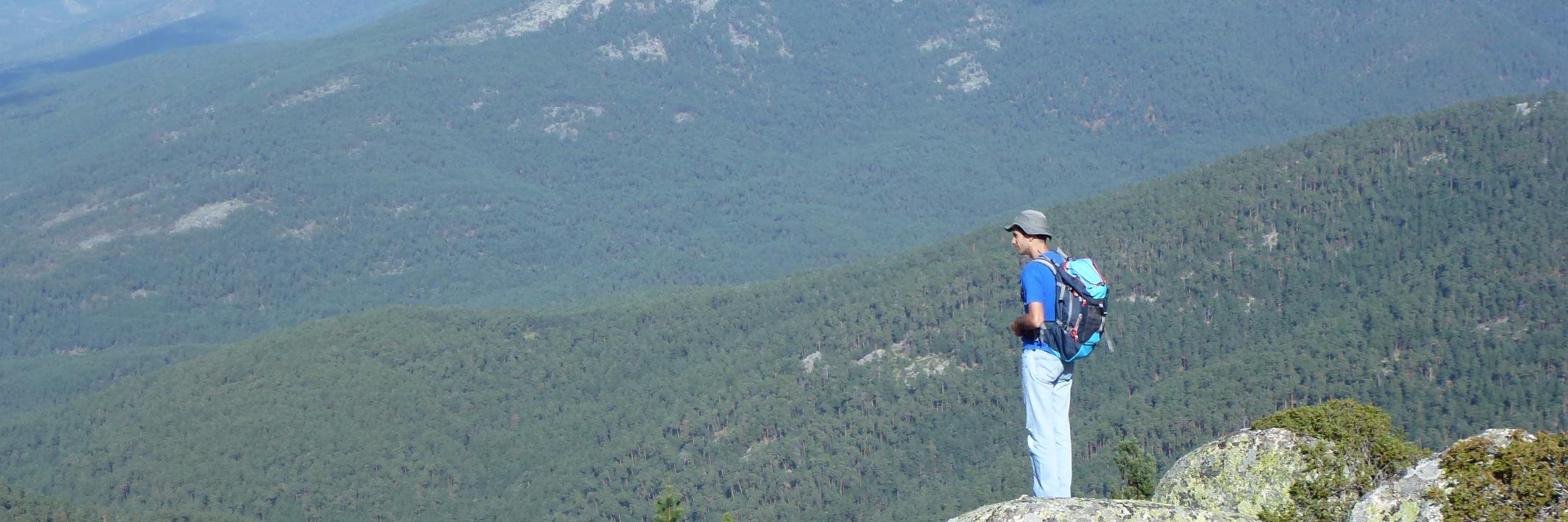 fjalonso's profile banner image