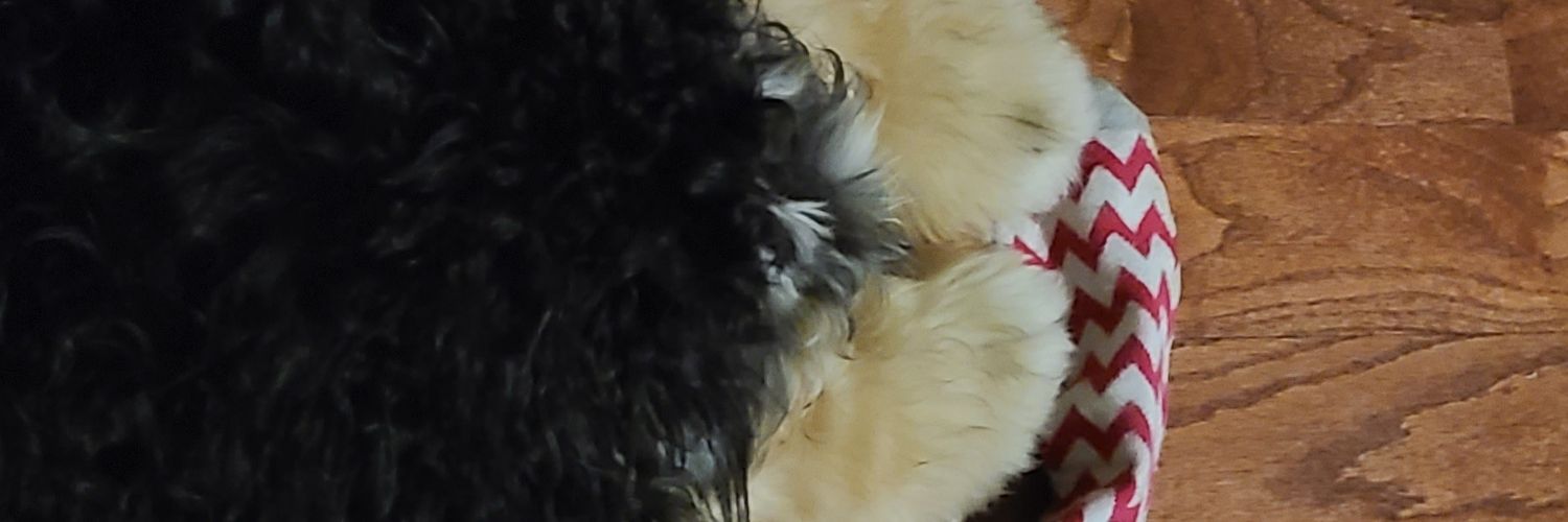 OW G banner