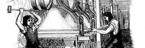 harmony stern's bingo partner banner