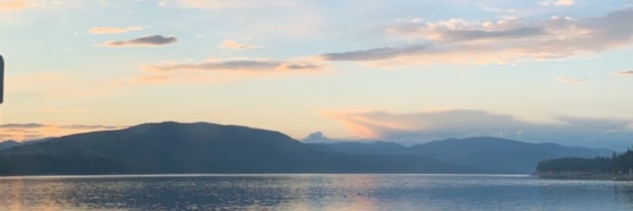 lexibarneyo's profile banner image